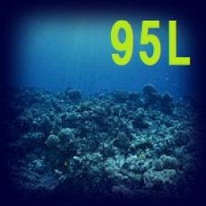 画像2: 【ご予約】生きている天然海水95L（送料込） (2)
