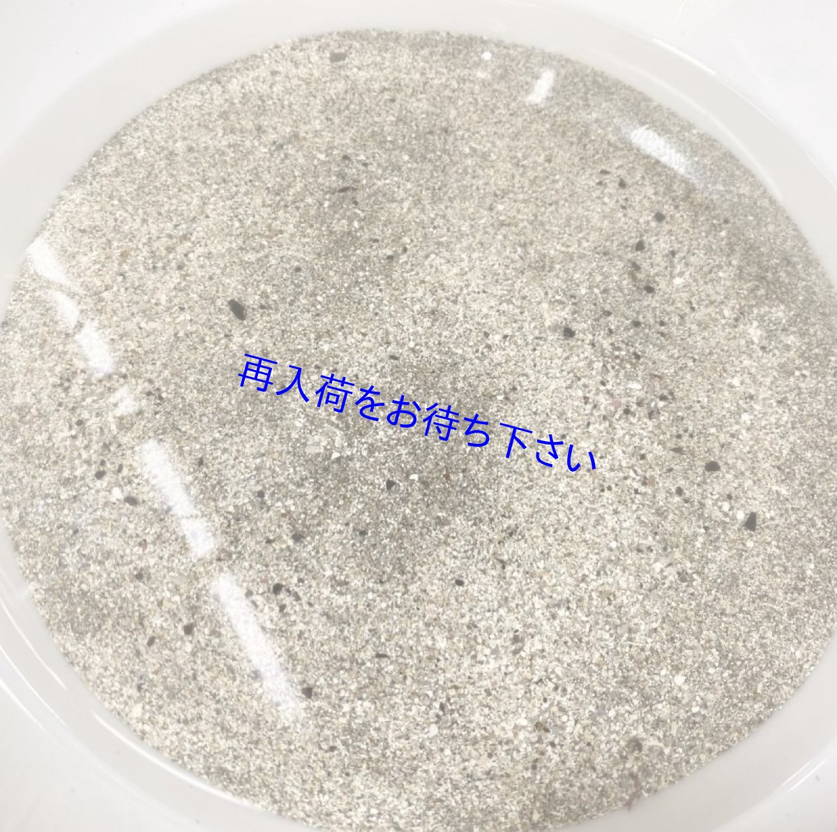 生物層ライブサンド