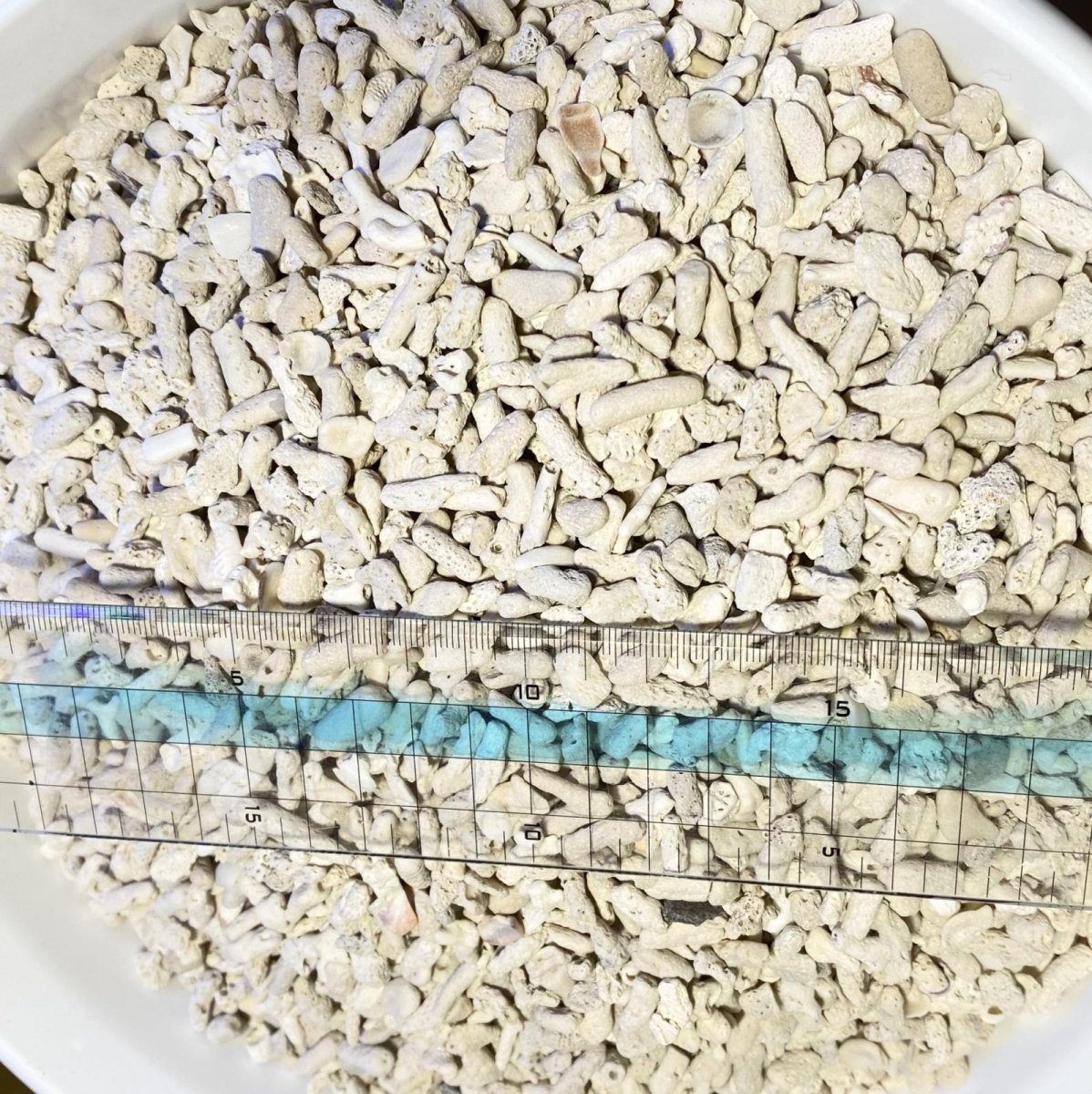 画像2: 【カルシウムの補充に！　濾過砂利としても！】サンゴ砂利【8mm〜15mmブレンド】1Kg　 (2)